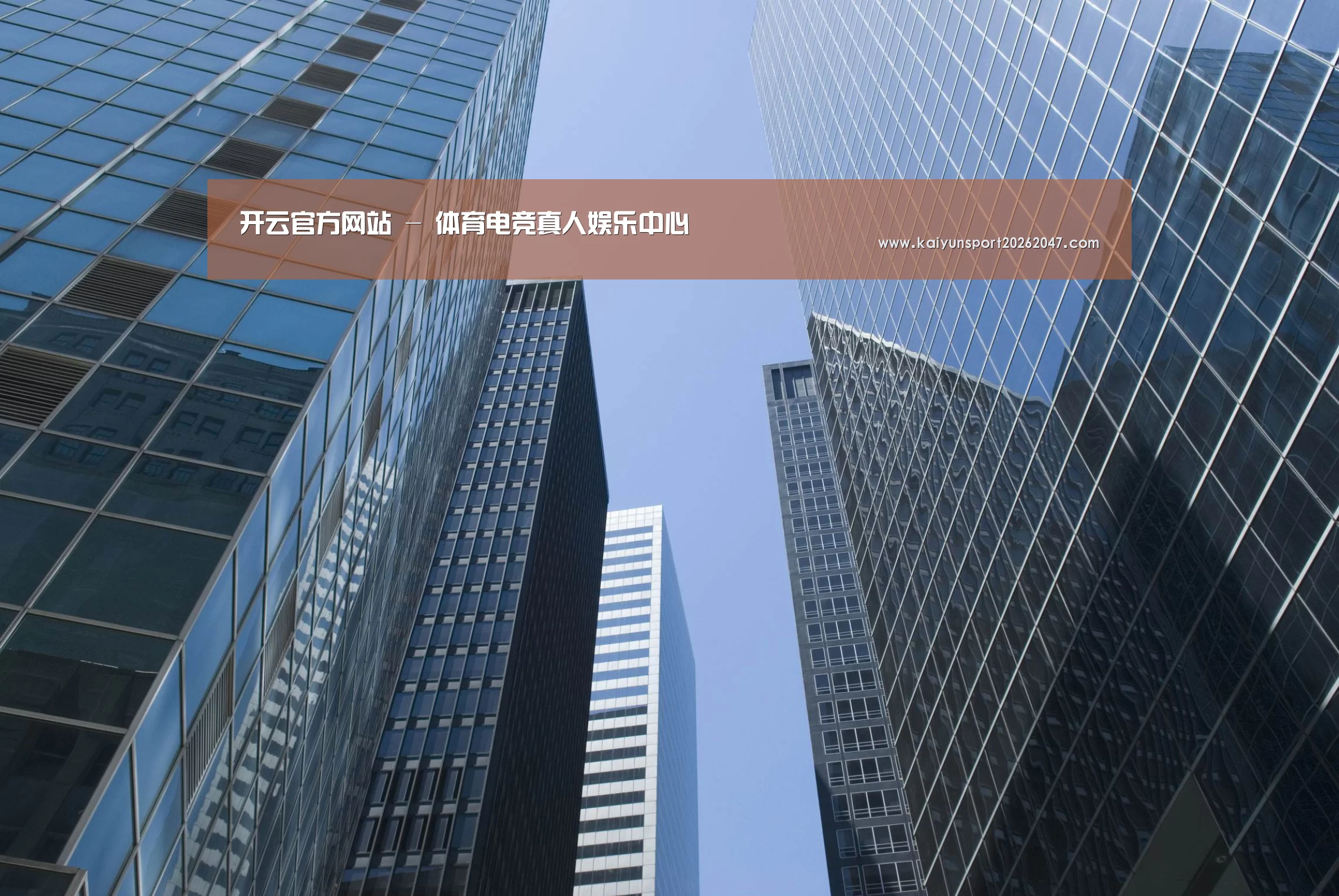 开云官网公司简介 