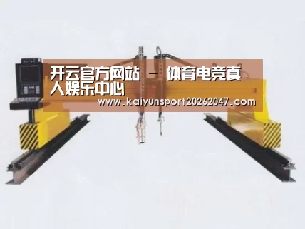 产品名称十九