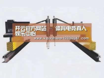 产品名称十九