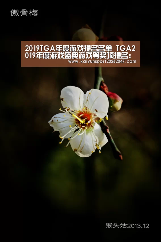 2019TGA年度游戏提名名单 TGA2019年度游戏盛典游戏等奖项提名:开云娱乐(图2) 开云官网