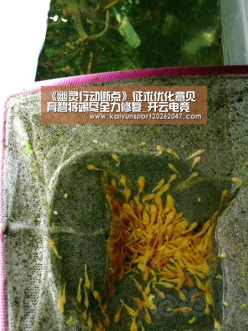 《幽灵行动断点》征求优化意见 育碧将竭尽全力修复_开云电竞(图2) 开云真人