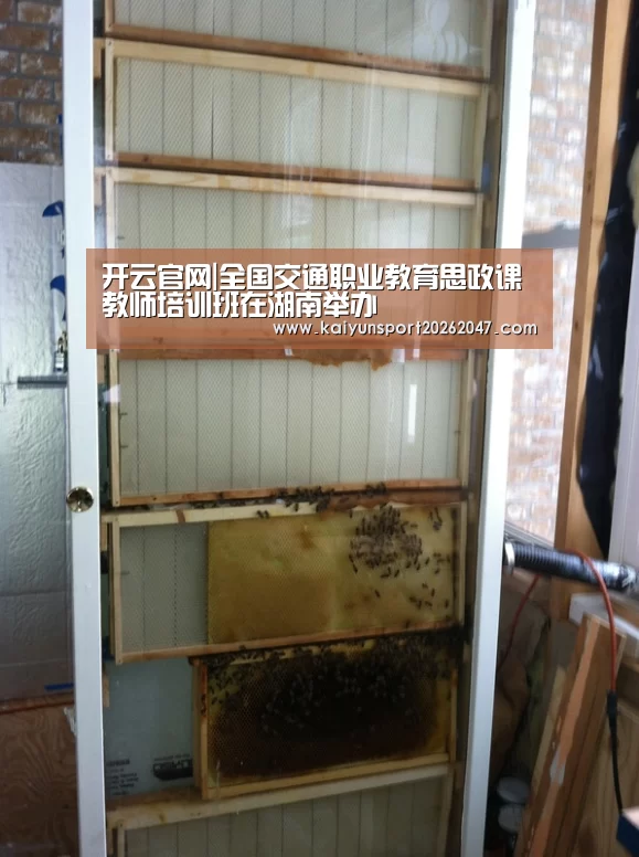 开云官网|全国交通职业教育思政课教师培训班在湖南举办