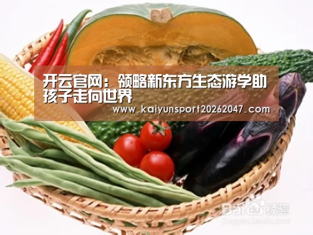 开云官网
