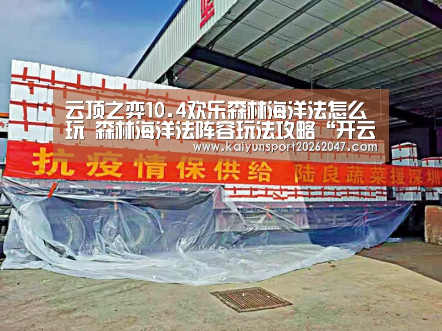 开云电竞